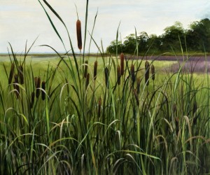 cattails reeds painting plant cattail plants bansemer paintings foreground colors typha marsh choose board protect prepare