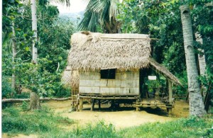 nipa_Hut