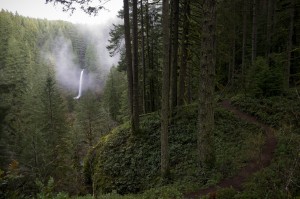 North_Falls,_Silver_Falls_State_Park,_Oregon_(8357247118)