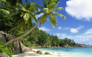 Rocky-Sea-Coconut-trees-Beach-Seychelles