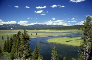 Yellowstone_River_in_Hayden_Valley