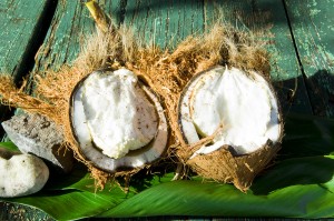 sprouted coconut open