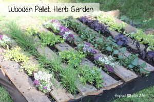 Wooden-Pallet-Herb-Garden