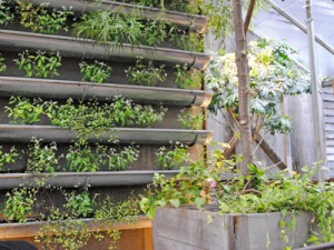 rain-gutter-garden-how-to-plant-vertical-garden-0412-mdn