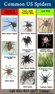 us-spider-chart-bestcolumbuspestcontrol