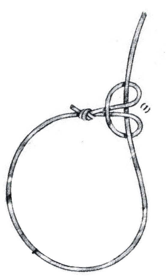 thumbnail image 2 of Handmade Rabbit Snares – 1/16" Cable, 24" Length – 12-Pack For Survival Trapping 2 of 4