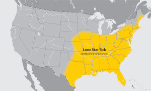 lgmap-lone_star_tick