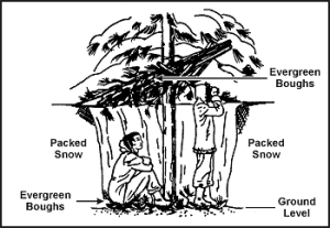 tree pit snow shelter