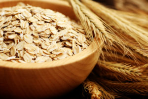 paleo-oats