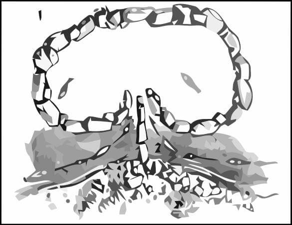 Draw Fish Trap Survival Fishing